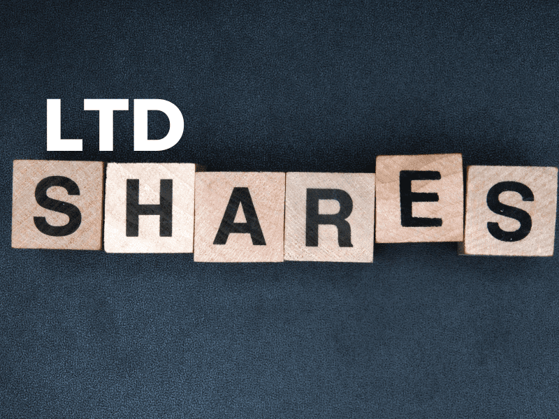 Types of Shares in an LTD Company